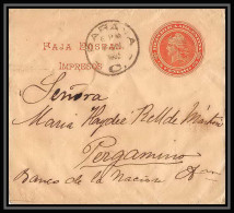 4113/ Argentine (Argentina) Entier Stationery Bande Pour Journal Newspapers Wrapper N°29 Parana 1903 - Interi Postali