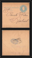 4141/ Argentine (Argentina) Entier Stationery Bande Pour Journal Newspapers Wrapper N°19  - Postal Stationery
