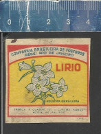 LIRIO  - OLD MATCHBOX LABEL MADE IN BRAZIL - Boites D'allumettes - Etiquettes