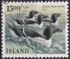 1986 Island > 1944-... Republik ° Mi:IS 647, Sn:IS 621, Yt:IS 600, Razorbill (Alca Torda), Vögel - Usados