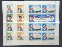 Montserrat 249 N° 466/71 Les 3 Feuilles (sheets)s British Royal Family Lady Di Cote 40 ** MNH - Montserrat