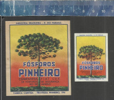 FOSFOROS PINHEIRO COMPANHIA FIAT LUX   - OLD MATCHBOX LABELS MADE IN BRAZIL - Boites D'allumettes - Etiquettes