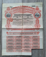 Paccha And Jazpampa Nitrate Co. Ltd. Titre De 10 Actions 5 Livres Sterling, 1895, Londres - P - R