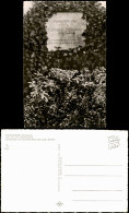 Ansichtskarte Emmendingen Ruhestätte Der Cornelia Schlosser Geb Goethe 1963 - Emmendingen