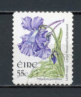 IRLANDE -  FLORE   N° Yvert 1763 Obli - Gebraucht