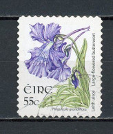 IRLANDE -  FLORE   N° Yvert 1763 Obli - Used Stamps
