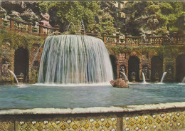 Cartolina Tivoli ( Roma ) - Villa D'este  - Fontana Dell'ovato - Tivoli