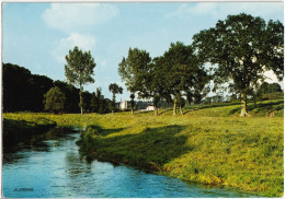 CPM DES ENVIRONS DE AUFFAY  (SEINE MARITIME)  LA VALLÉE DE LA SCIE - Auffay