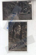 Angleterre - LOT 2 Cartes Photo The Warren Hertford - Vue Prise En été Marches Et Chemin   - CPA N° 4005 Et 5239 - Herefordshire