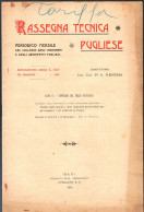 RIVISTA DEL 1903 - RASSEGNA TECNICA PUGLIESE - PORTALE DEL MONASTERO DI S.STEFANO IN MONOPOLI - BARI (STAMP329) - Testi Scientifici