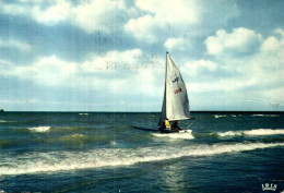 Sports > Voile> /// 28 - Sailing
