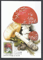 Hungary, Maximum Card, Toxic Mushrooms(Toadstools),  Amanita Muscaria,1986. - Tarjetas – Máximo
