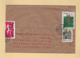 Chine - Jiangsu - Sishan Dian Chang (suo) - 1993 - Covers & Documents