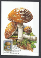 Hungary, Maximum Card, Toxic Mushrooms(Toadstools),  Amanita Pantherina,1986. - Tarjetas – Máximo