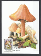 Hungary, Maximum Card, Toxic Mushrooms(Toadstools), Inocybe Patouillardi,1986. - Tarjetas – Máximo