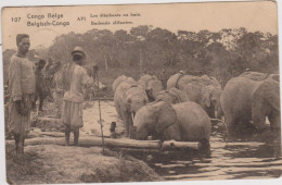 Congo  Belge   Les éléphants Au Bain - Congo Belge