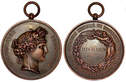 1880 Grand Concours Musical Se Boulogne Sur Seine. Médaille. - Objetos Derivados