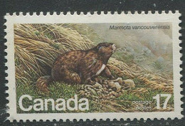 Canada:Unused Stamp Vancouver Island Marmot, 1981, MNH - Nager