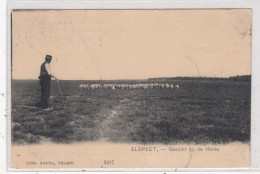 Elspeet. Gezicht Op De Heide. * - Nunspeet