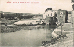 53971. Postal CORDOBA. Vista Del Molino De Hierro En El Rio Guadalquivir - Córdoba