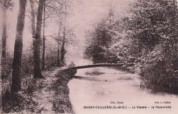 BOISSY L'AILLERIE- La Viosne-une Passerelle - Boissy-l'Aillerie