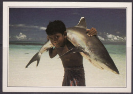 Malediven Eilanden Jongen Draagt Haai - Maldive