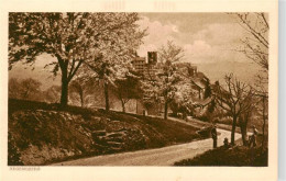 13956435 Regensberg_Dielsdorf_ZH Blick Zum Schloss Kupferdruck - Autres & Non Classés