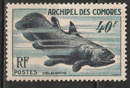 Comores N° 13 * Poisson Coelacanthe - Nuevos