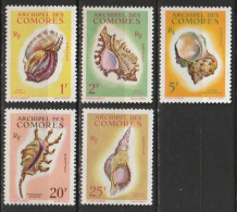 Comores N° 20 - 24 ** Coquillages - Nuevos