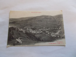 PLAINFAING ( 88 Vosges ) VUE GENERALE  VACHES EN MONTAGNE ET VILLAGE CONTRE BAS 1918 - Plainfaing