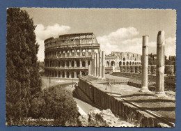 1957 -  ROMA - COLOSSEO  - ITALIA - Colosseo