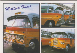 MALTE . MALTESE BUSES . BUS MALTAIS . BEDFORD LEYLAND - Malta