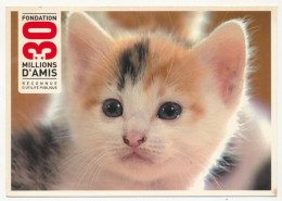 8 CPM - 8 Cartes Différentes Représentant Des CHATS - Editions Diverses, Non écrites - Cats