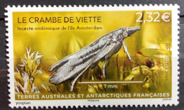 French Antarctic Territories 2024, Insect Crambe De Viette, MNH Single Stamp - Nuovi