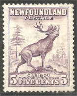 Terre Neuve Newfoundland Caribou Reindeer Renne (XCNF-132) - 1908-1947