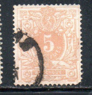 BELGIQUE BELGIE BELGIO BELGIUM 1881 NUMERAL LEON 5c USED OBLITERE' USATO - 1869-1888 Lion Couché