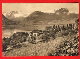 ZXK-41  Kursanstalt Friedenfels Sarnen 1954 Gelaufen 1954 GF Foto-Karte - Sarnen