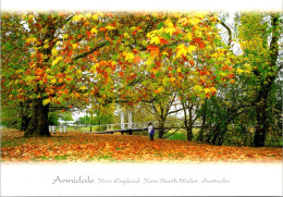 12-2-2024 (3   X 51 Australia - NSW - Armidale (bridge & Trees) Posted With Fremantle Fishermans Stamp - Árboles
