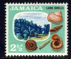 Jamaica 1964 QE2 2 1/2d Land Shells Umm SG 220 ( G1069 ) - Jamaica (1962-...)