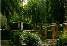 12-2-2024 (3   X 51 Spain - Tropical Garden In Girona (posted With Stone Stamp) - Alberi