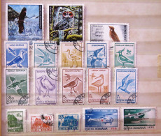 Rumania 1991 - 1996 Plane Red Cross Helicopter Birds Owl - Used Stamps