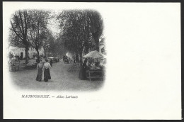 Maubourguet-Allées Larbanès - Maubourguet