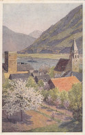 E4185) SCHWALLENBACH - Donau Dampfschiffahrtsgesellschaft Wien - WACHAU - - Wachau