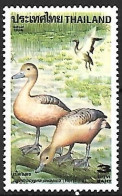 Thailand - MNH ** 1996 :   Lesser Whistling Duck  -  Dendrocygna Javanica - Ducks