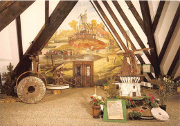 Internationales Mühlenmuseum In GIFHORN (777) - Gifhorn