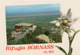 Cartolina ITALIA  PORDENONE AVIANO PIANCAVALLO RIFUGIO BORNASS  Italy Postcard Italien Postkarte - Pordenone