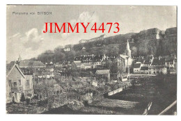 CPA - Panorama Von BITSCH En 1919 ( Rarogne VS Valais Suisse ) N° 89548 - Edit. A. Junker - Rarogne