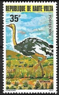 Upper Volta - MNH ** 1979 :  Common Ostrich  -  Struthio Camelus - Straussen- Und Laufvögel