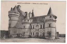 MONTS SUR GUESNES  Château De La Roche DUMAINE - Monts Sur Guesnes