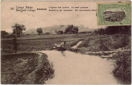 AFRIQUE - CONGO BELGE / KITOBOLA/ Irrigation Des Rizières.Le Canal Principal (Entier Postal) - Animation - D 4500/01 - Congo Belge
